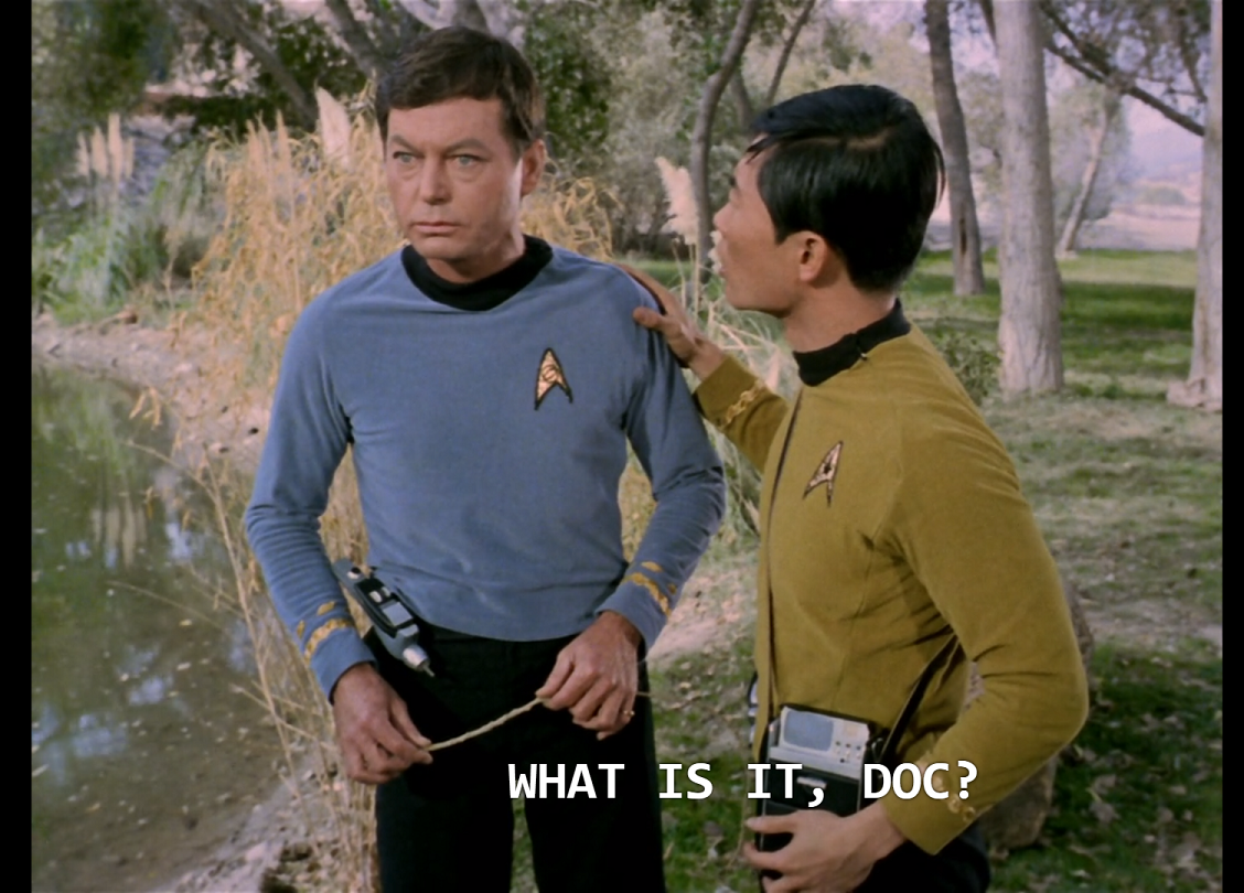 McCoy standing by the edge of a pond, holding a grass straw tensely and staring in front of him while Sulu puts a hand on his shoulder and asks, “What is it, doc?”