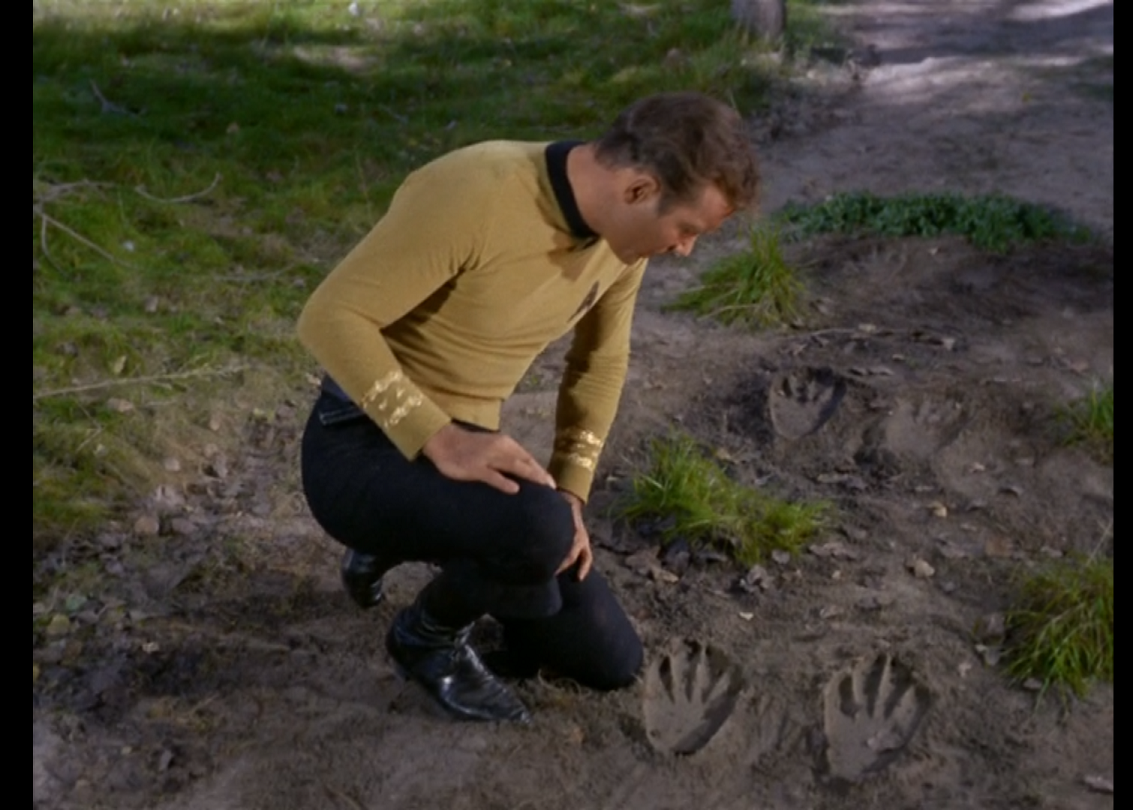 Kirk kneeling in a dirt track, examining two sets of four-toed footprints. 
